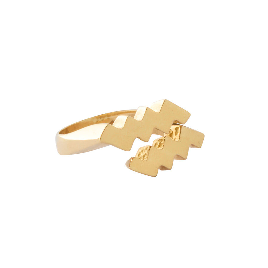 Aquarius Ring