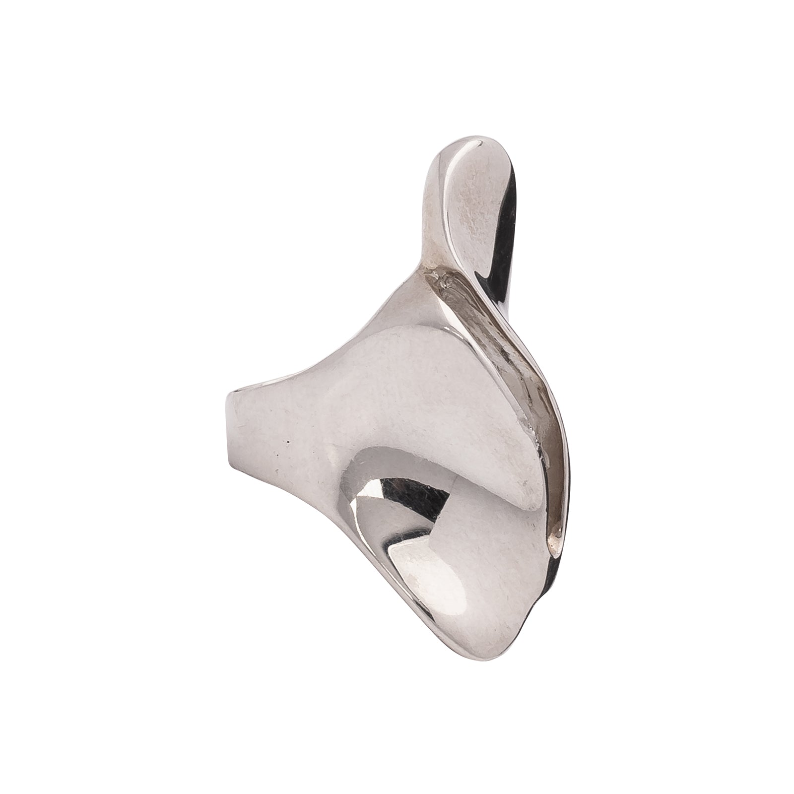 Ariana Boussard-Reifel Stream Ring - Silver - Broken English Jewelry