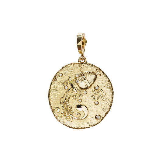 Zodiac Large Coin Charm - Aquarius - Main Img