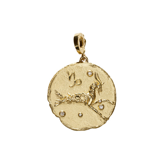 Zodiac Large Coin Charm - Capricorn - Main Img