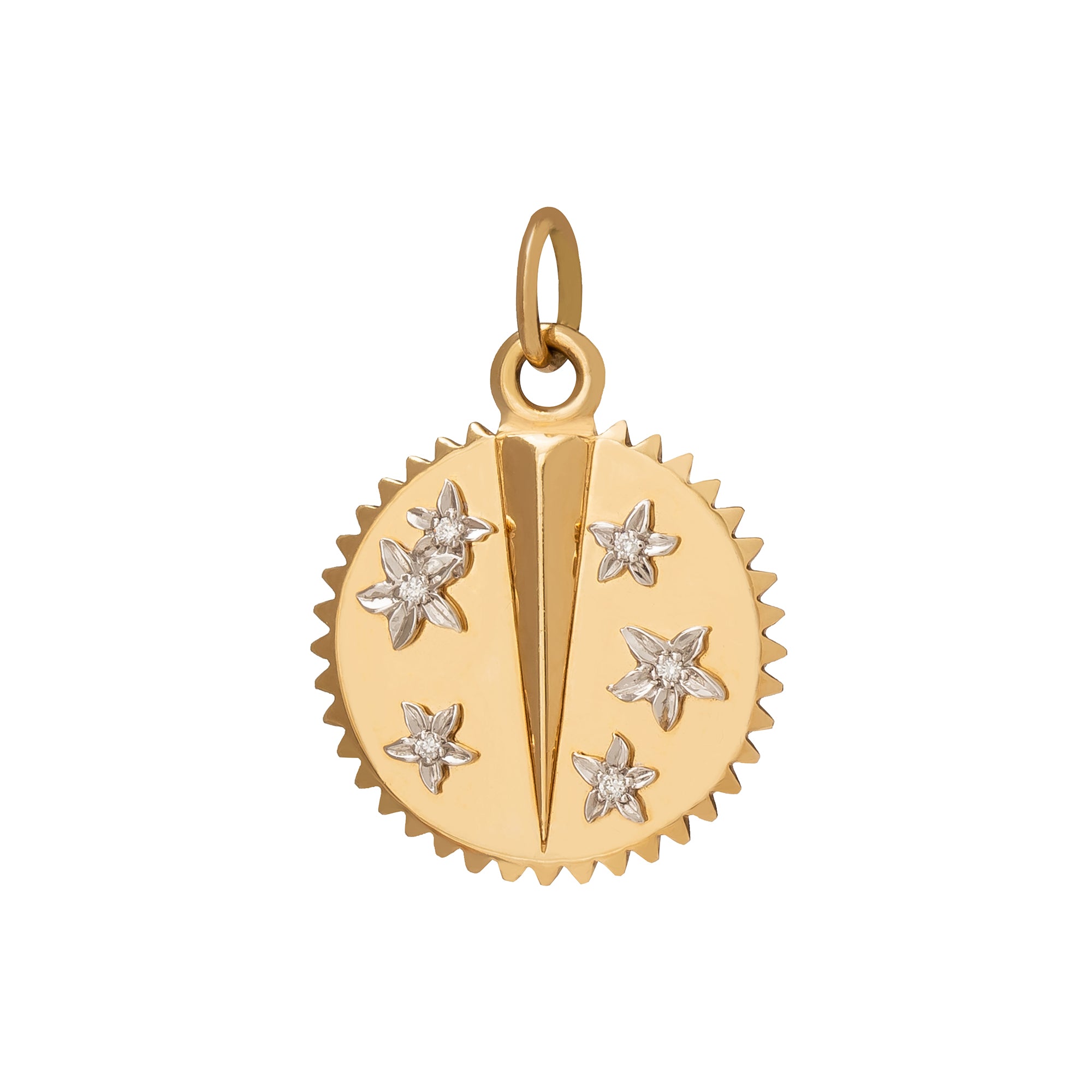 Foundrae Petite Resilience Medallion pendant front view