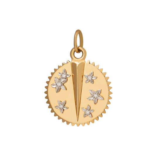 Petite Resilience Medallion - Main Img