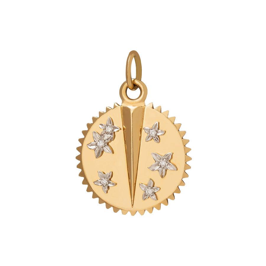 Foundrae Petite Resilience Medallion pendant front view