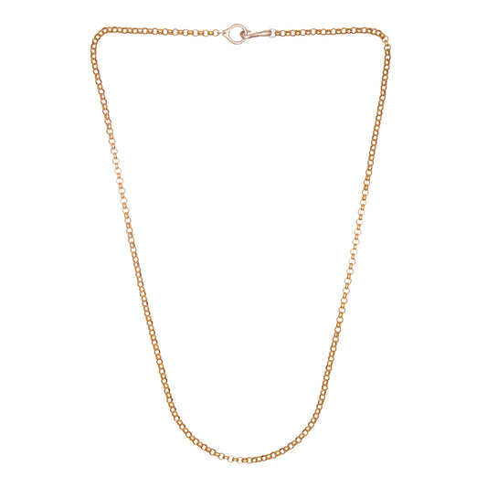 Gold Rolo Hook & Eye Chain