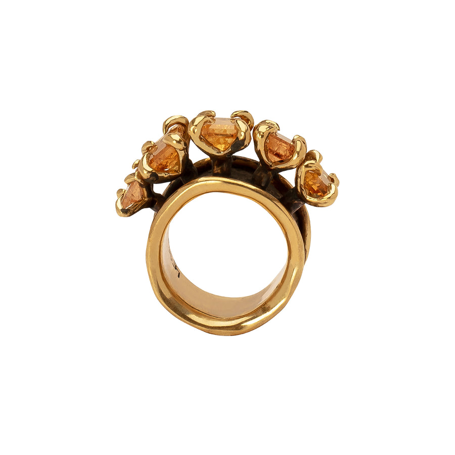 Lisa Eisner Jewelry 5-Stone Ring - Topaz - Rings - Broken English Jewelry